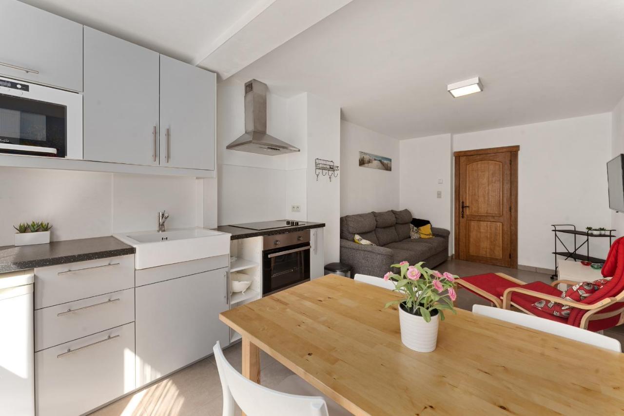 Ruime Woning 10P Met Zonnige Tuin & Nabij Strand Blankenberge Dış mekan fotoğraf